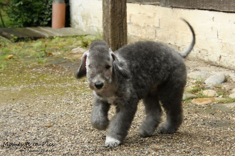 Antares 2009-08-01 & 02 (23).JPG